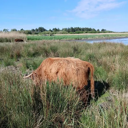 Roulotte, Pleine De Charme