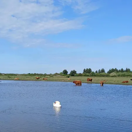 펜션 Roulotte, Pleine De Charme *